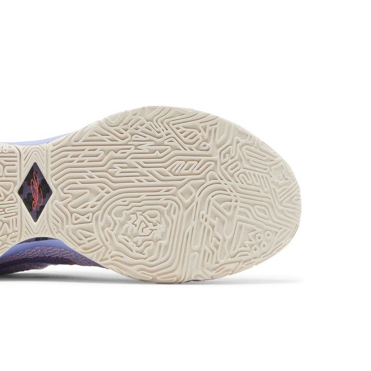 Nike LeBron 20 EP 'Purple And Gold'