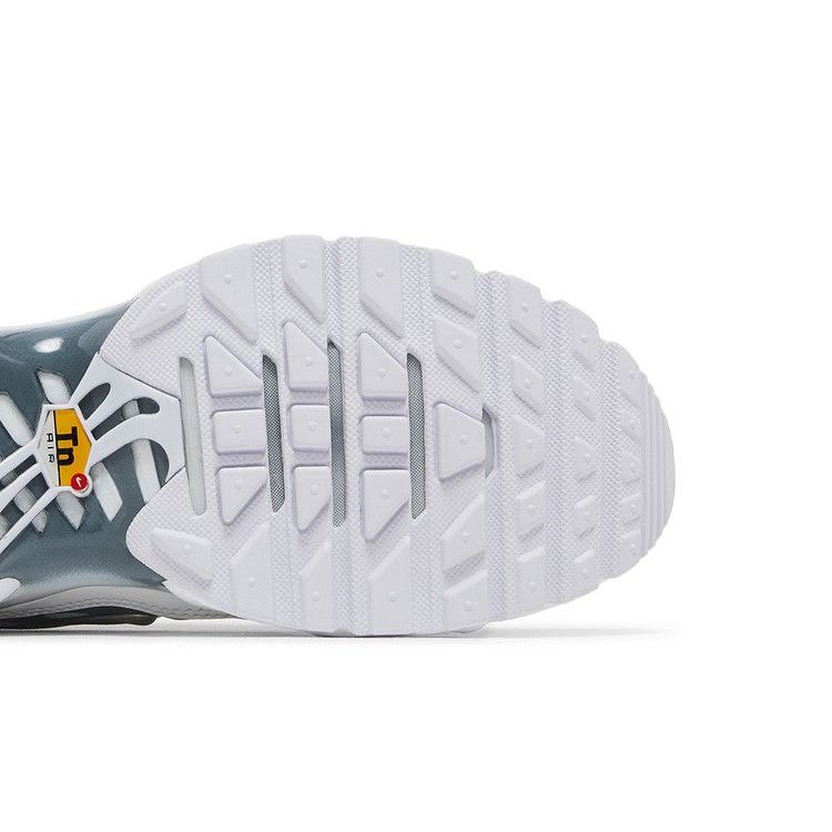 Nike Wmns Air Max Plus 'White Metallic Silver'