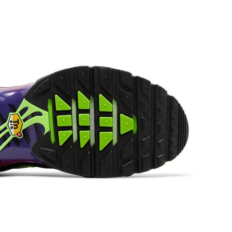 Nike Air Max Plus 'Rebellious Air'