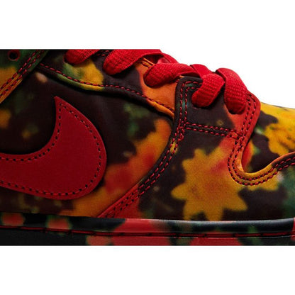 The Wizard of Oz x Nike Dunk Low SB 'Poppy Field'
