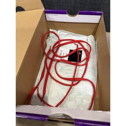 Nike SB Dunk Low Cherry