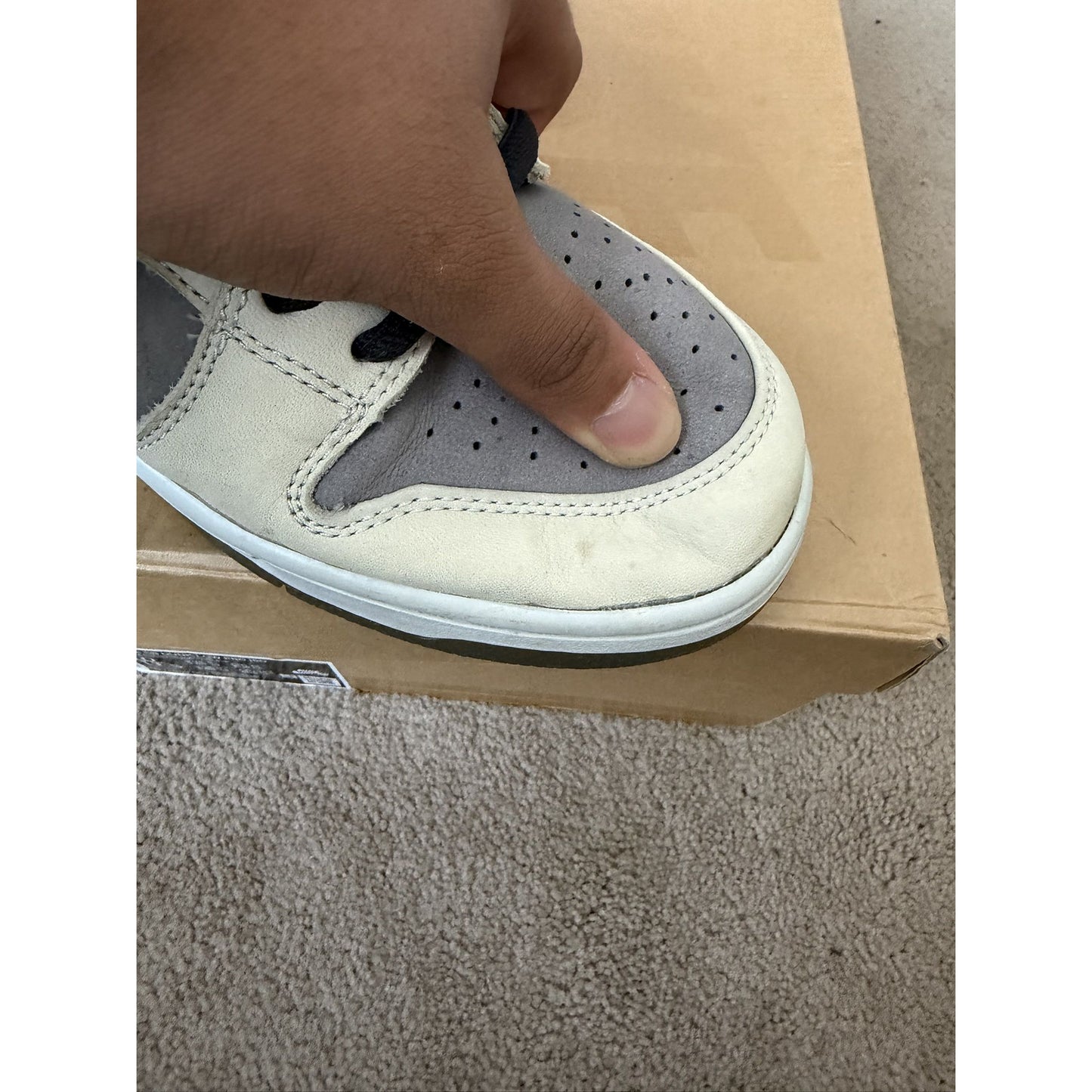 Nike SB Dunk Low VX1000