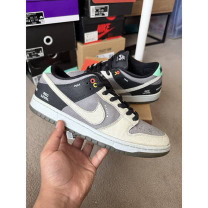 Nike SB Dunk Low VX1000